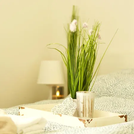 Co06-hi In Apartment